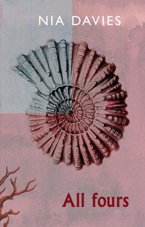 All fours cover by Nia Davies